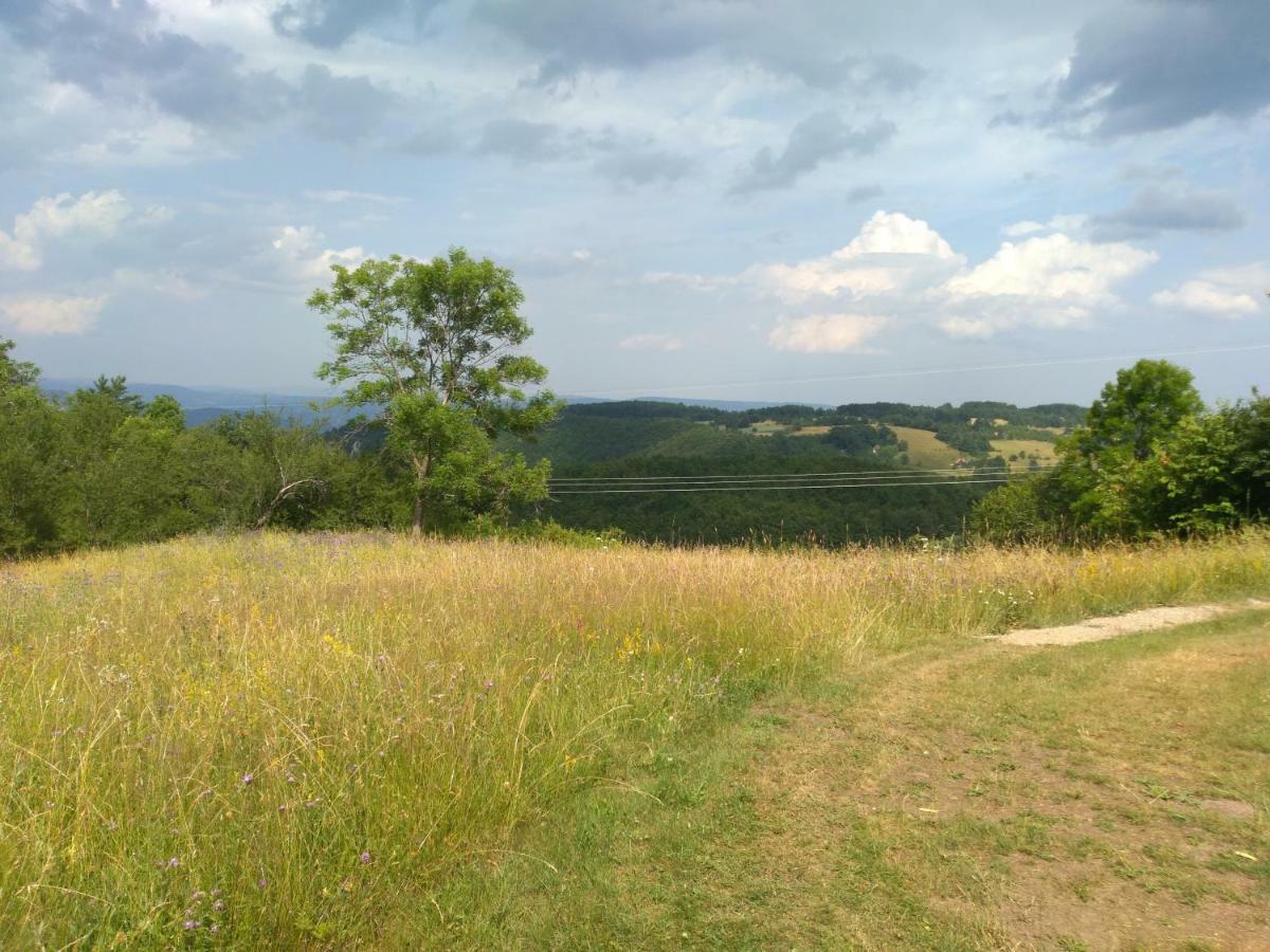 Konak Pahulja Tara Bajina Basta Exterior foto